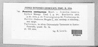 Image Associated With the Occurrence